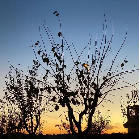 7 Daire Pilar de la Horadada